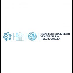 tdn camera di commercio trieste e gorizia sponsor