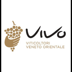 VIVO viticoltori veneto